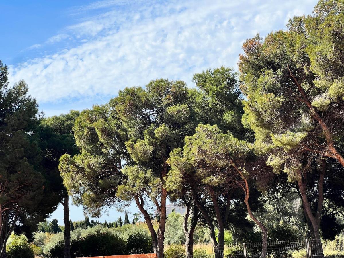 Hermoso Y Acogedor bien situado Apartment Oropesa del Mar